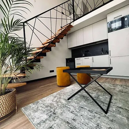 Sunny Loft 3 X 24x7 X Free Parking X Close To Old Town Apartment